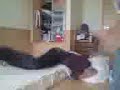 Momentos Webing