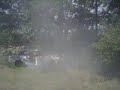 alby showed us how its done.mov