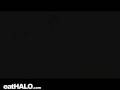 videos de assassin