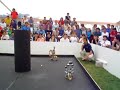 Microbots Microbots