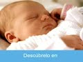 en el vientre materno  4/11 
