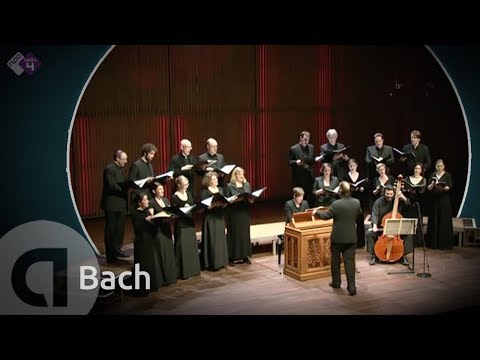 motet - J.S. Bach: Motet BWV 225 'Singet dem Herrn' Vocalconsort Berlin o.l.v. Daniel Reuss Opgenomen tijdens de BachDag i.s.m. de Organisatie Oude Muziek 29 januari...