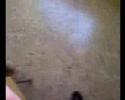 edu baila el chiki chiki en clase xd   