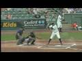 Delmarva Shorebirds - 30sec