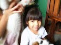 visita de cachorros san bernardo a isabella