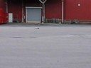 Omvänd byggy 1 Omvänd byggy 1