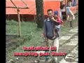 naik kuda