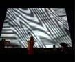 NY Video Festival 07 with dorit chrysler