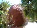 [The Jacous] Canarian Geographic - El Chuchango Etnico