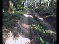 Mountain biking in the forest