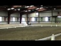 Bouncer Dressage Test.wmv