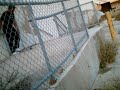 Ollie big ledge.wmv