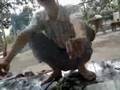 picnic-Binh-Chanh-Lo