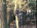 videos de AKTE 08 (25 Nov) Afrikanischer Drogendealer flippt total aus!