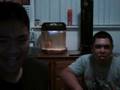videos de Dumb Youtubers (i believe i can fly)