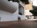 por qué no?
