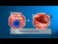 Bovine Respiratory Disease