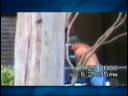 Adultera��o de combust�vel em MS