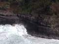 Kilauea Point National Wildlife Refuge
