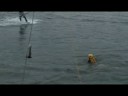 BUK Boardwear Wakeboard Team