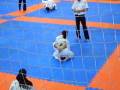 videos de pec artes marciais