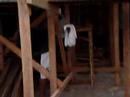 Rosario's Housing Project 3
