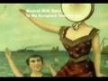 Songs ... : Neutral Milk Hotel-In the Aeroplane Over the Sea