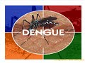 El Dengue
