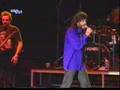 Hobo Blues Band - A hetedik