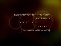 the ecstasy of saint theresa - 1+1=11 (intimate shine mix)