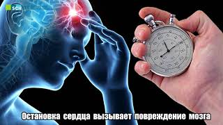 Остановка сердца при инфаркте миокарда. Жизнь длинною в 5 минут.