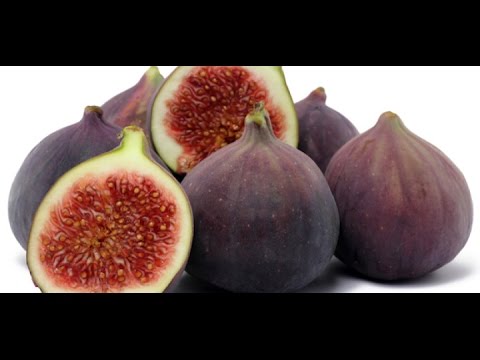 HOW TO GROW FIGS IN A CONTAINER OR POT