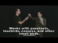Parakeet Magic for General Public