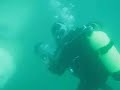 Diving With Legend Zale Parry Manele-Gratis.net