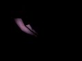 moxiecan-davesanidiot