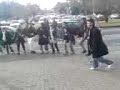 turk-ogrenci-kongresi-halayda.html