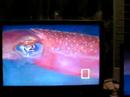 Review ASUS F5SL-AP039 - ecran Part II Review ASUS F5SL-AP039 - ecran Part II