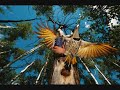 ANIMAL SPIRIT GUIDES