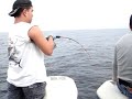 jigging kerapu di pulau jarak jigging kerapu di pulau jarak