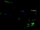 kj-sawka-live-on-c895.html