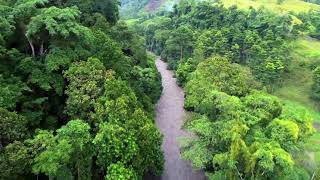Promo Quinchas.. una selva perdida en la Civilización