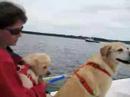 40: Yacht Charters, TheBoaters Beta, Talk Like a Pirate Day!