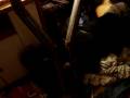 videos de MY ROOM!