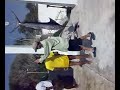 A Big Fish in Malindi