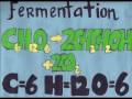 videos de Fermentation - Jessmy, Angel, Miriam, and Melanie