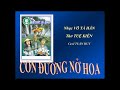 GDPT- CON ĐƯỜNG NỞ HOA