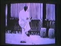 Tung style Taiji