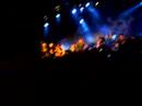 Toten Hosen Markthalle Hamburg 6