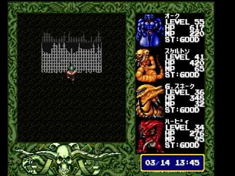 動画