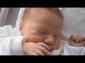 Beau-bebo-clip